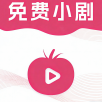 风行视频联想版免费版下载 风行视频联想版免费版下载